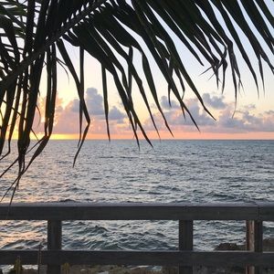 Meet your Posher, Audrey